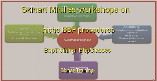 Skinart Minillas workshops on niche BBP procedures | BbpTraining | BbpClasses | SkinartTraining-Spain