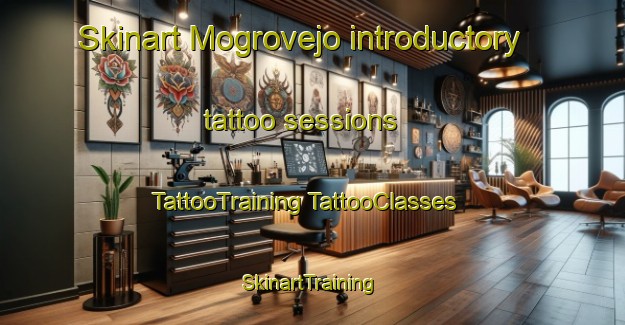 Skinart Mogrovejo introductory tattoo sessions | #TattooTraining #TattooClasses #SkinartTraining-Spain