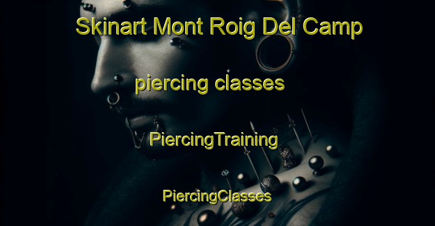 Skinart Mont Roig Del Camp piercing classes | #PiercingTraining #PiercingClasses #SkinartTraining-Spain