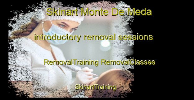 Skinart Monte De Meda introductory removal sessions | #RemovalTraining #RemovalClasses #SkinartTraining-Spain