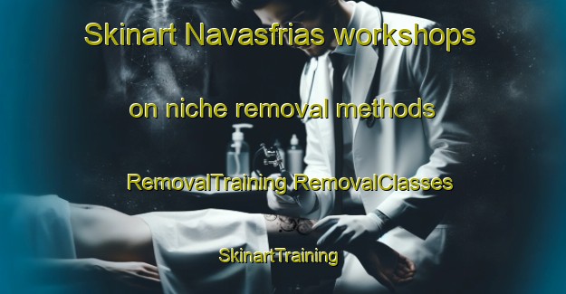 Skinart Navasfrias workshops on niche removal methods | #RemovalTraining #RemovalClasses #SkinartTraining-Spain