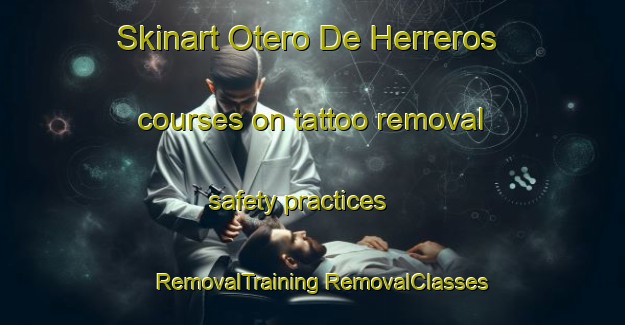 Skinart Otero De Herreros courses on tattoo removal safety practices | #RemovalTraining #RemovalClasses #SkinartTraining-Spain