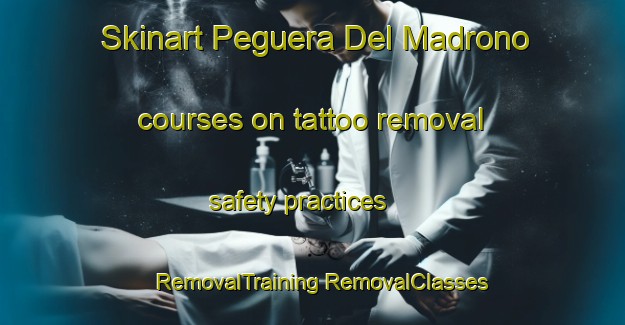 Skinart Peguera Del Madrono courses on tattoo removal safety practices | #RemovalTraining #RemovalClasses #SkinartTraining-Spain