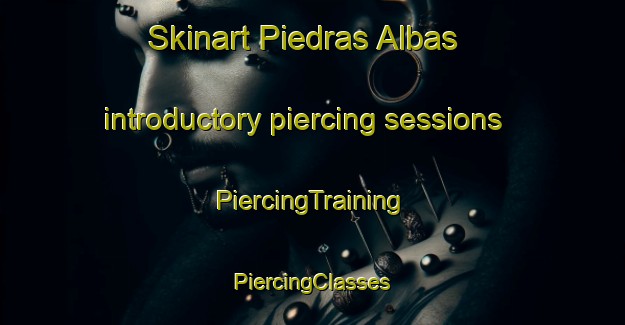 Skinart Piedras Albas introductory piercing sessions | #PiercingTraining #PiercingClasses #SkinartTraining-Spain