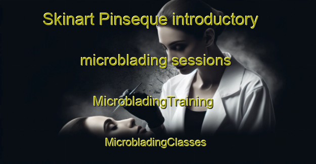 Skinart Pinseque introductory microblading sessions | MicrobladingTraining | MicrobladingClasses | SkinartTraining-Spain
