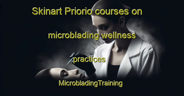 Skinart Priorio courses on microblading wellness practices | #MicrobladingTraining #MicrobladingClasses #SkinartTraining-Spain