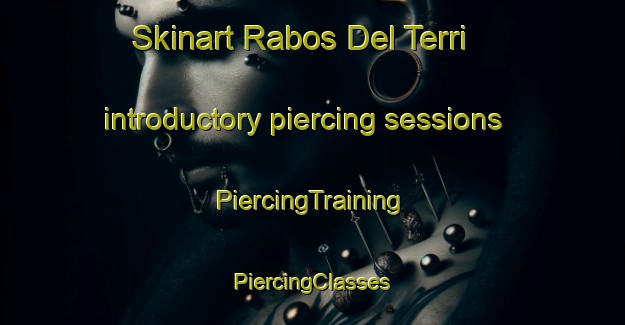 Skinart Rabos Del Terri introductory piercing sessions | #PiercingTraining #PiercingClasses #SkinartTraining-Spain