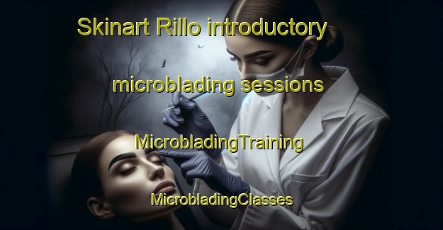 Skinart Rillo introductory microblading sessions | #MicrobladingTraining #MicrobladingClasses #SkinartTraining-Spain