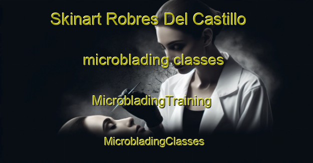 Skinart Robres Del Castillo microblading classes | MicrobladingTraining | MicrobladingClasses | SkinartTraining-Spain
