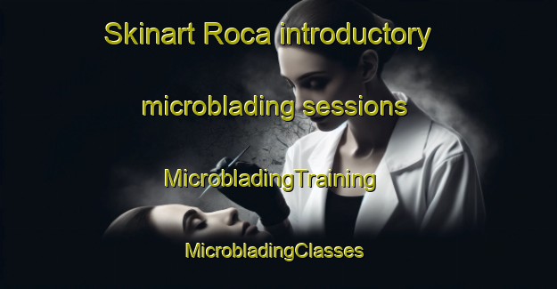 Skinart Roca introductory microblading sessions | MicrobladingTraining | MicrobladingClasses | SkinartTraining-Spain