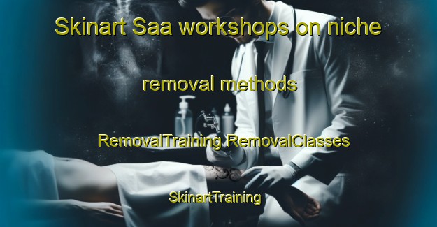 Skinart Saa workshops on niche removal methods | #RemovalTraining #RemovalClasses #SkinartTraining-Spain