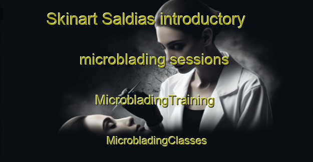 Skinart Saldias introductory microblading sessions | #MicrobladingTraining #MicrobladingClasses #SkinartTraining-Spain