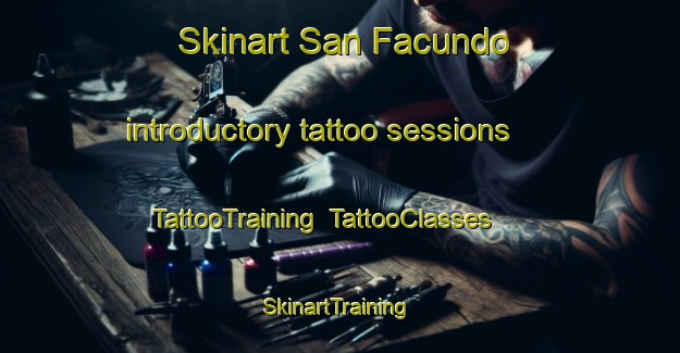Skinart San Facundo introductory tattoo sessions | TattooTraining | TattooClasses | SkinartTraining-Spain