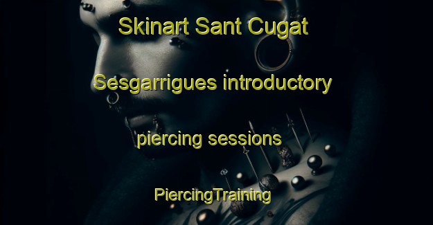 Skinart Sant Cugat Sesgarrigues introductory piercing sessions | #PiercingTraining #PiercingClasses #SkinartTraining-Spain