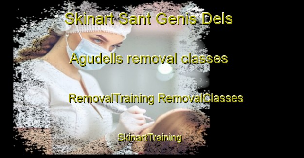 Skinart Sant Genis Dels Agudells removal classes | #RemovalTraining #RemovalClasses #SkinartTraining-Spain