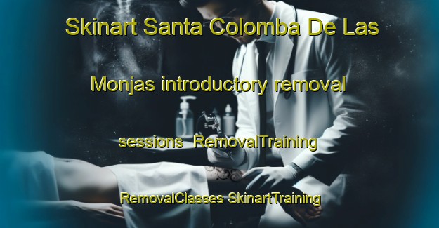 Skinart Santa Colomba De Las Monjas introductory removal sessions | #RemovalTraining #RemovalClasses #SkinartTraining-Spain