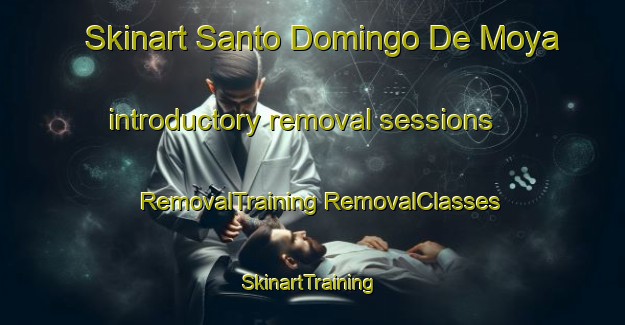 Skinart Santo Domingo De Moya introductory removal sessions | #RemovalTraining #RemovalClasses #SkinartTraining-Spain