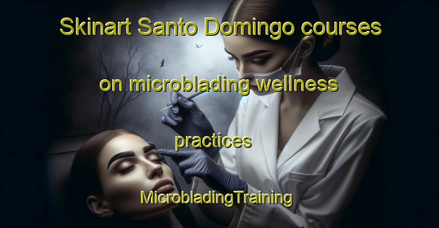 Skinart Santo Domingo courses on microblading wellness practices | #MicrobladingTraining #MicrobladingClasses #SkinartTraining-Spain