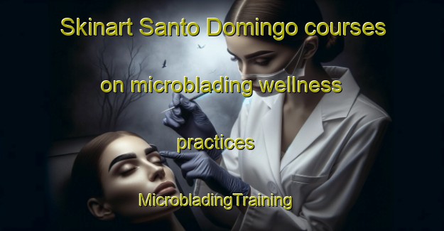 Skinart Santo Domingo courses on microblading wellness practices | MicrobladingTraining | MicrobladingClasses | SkinartTraining-Spain