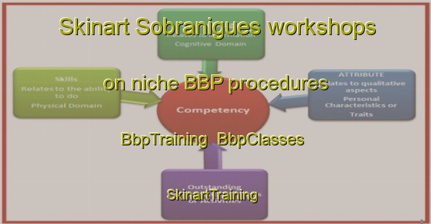 Skinart Sobranigues workshops on niche BBP procedures | BbpTraining | BbpClasses | SkinartTraining-Spain