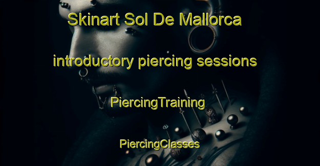 Skinart Sol De Mallorca introductory piercing sessions | #PiercingTraining #PiercingClasses #SkinartTraining-Spain