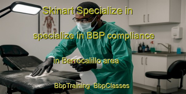 Skinart Specialize in specialize in BBP compliance in Berrocalillo area | BbpTraining | BbpClasses | SkinartTraining-Spain