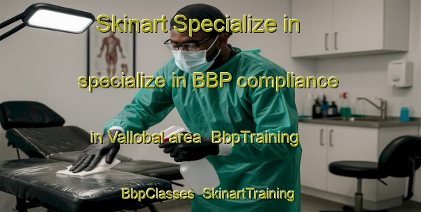 Skinart Specialize in specialize in BBP compliance in Vallobal area | BbpTraining | BbpClasses | SkinartTraining-Spain