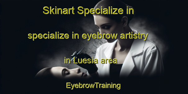 Skinart Specialize in specialize in eyebrow artistry in Luesia area | EyebrowTraining | EyebrowClasses | SkinartTraining-Spain
