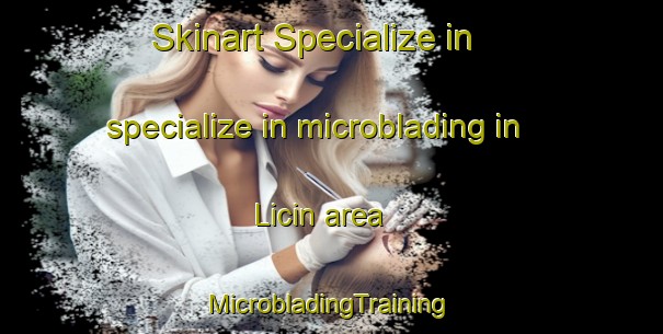 Skinart Specialize in specialize in microblading in Licin area | #MicrobladingTraining #MicrobladingClasses #SkinartTraining-Spain