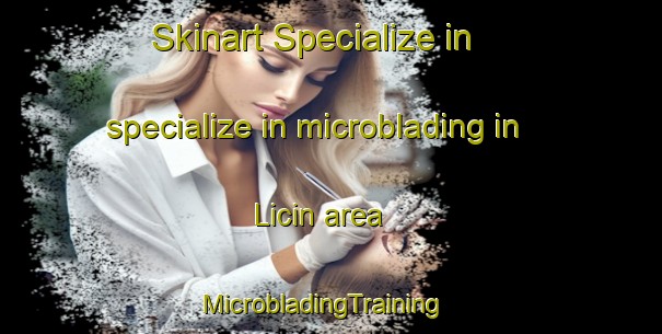 Skinart Specialize in specialize in microblading in Licin area | MicrobladingTraining | MicrobladingClasses | SkinartTraining-Spain