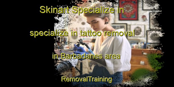 Skinart Specialize in specialize in tattoo removal in Barbadanes area | RemovalTraining | RemovalClasses | SkinartTraining-Spain