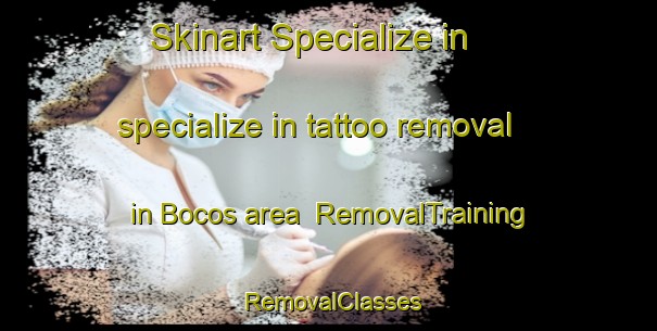 Skinart Specialize in specialize in tattoo removal in Bocos area | RemovalTraining | RemovalClasses | SkinartTraining-Spain