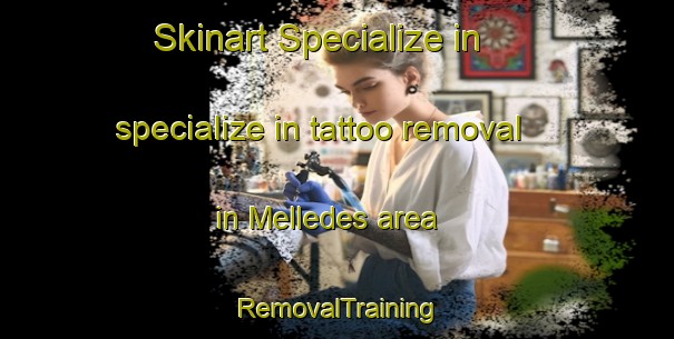 Skinart Specialize in specialize in tattoo removal in Melledes area | RemovalTraining | RemovalClasses | SkinartTraining-Spain