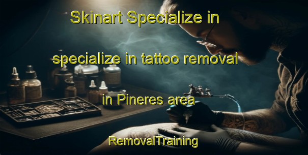 Skinart Specialize in specialize in tattoo removal in Pineres area | RemovalTraining | RemovalClasses | SkinartTraining-Spain