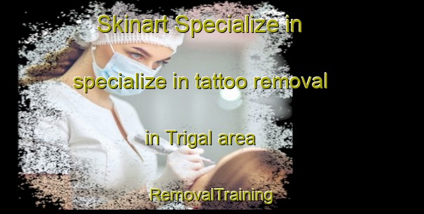 Skinart Specialize in specialize in tattoo removal in Trigal area | RemovalTraining | RemovalClasses | SkinartTraining-Spain