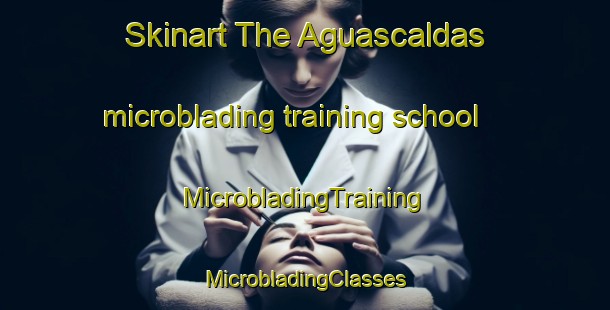 Skinart The Aguascaldas microblading training school | #MicrobladingTraining #MicrobladingClasses #SkinartTraining-Spain