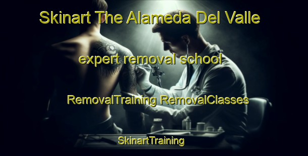 Skinart The Alameda Del Valle expert removal school | #RemovalTraining #RemovalClasses #SkinartTraining-Spain