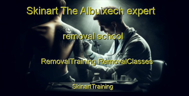 Skinart The Albuixech expert removal school | #RemovalTraining #RemovalClasses #SkinartTraining-Spain