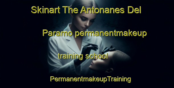 Skinart The Antonanes Del Paramo permanentmakeup training school | #PermanentmakeupTraining #PermanentmakeupClasses #SkinartTraining-Spain