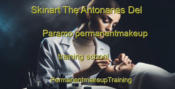 Skinart The Antonanes Del Paramo permanentmakeup training school | #PermanentmakeupTraining #PermanentmakeupClasses #SkinartTraining-Spain