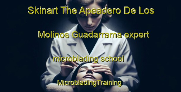 Skinart The Apeadero De Los Molinos Guadarrama expert microblading school | #MicrobladingTraining #MicrobladingClasses #SkinartTraining-Spain