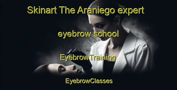 Skinart The Araniego expert eyebrow school | EyebrowTraining | EyebrowClasses | SkinartTraining-Spain