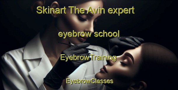 Skinart The Avin expert eyebrow school | EyebrowTraining | EyebrowClasses | SkinartTraining-Spain