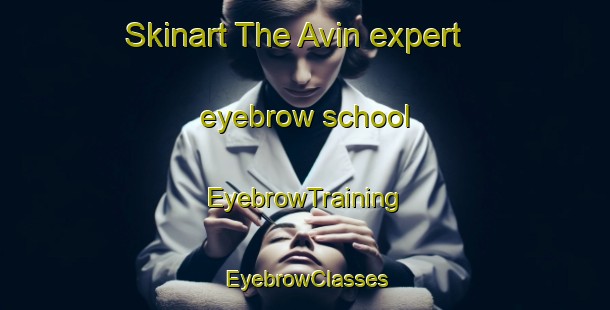 Skinart The Avin expert eyebrow school | EyebrowTraining | EyebrowClasses | SkinartTraining-Spain