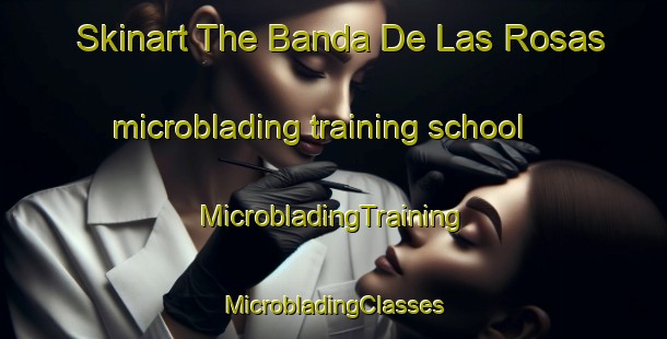 Skinart The Banda De Las Rosas microblading training school | #MicrobladingTraining #MicrobladingClasses #SkinartTraining-Spain