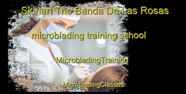 Skinart The Banda De Las Rosas microblading training school | #MicrobladingTraining #MicrobladingClasses #SkinartTraining-Spain