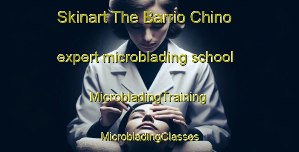 Skinart The Barrio Chino expert microblading school | #MicrobladingTraining #MicrobladingClasses #SkinartTraining-Spain