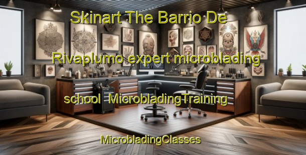 Skinart The Barrio De Rivaplumo expert microblading school | MicrobladingTraining | MicrobladingClasses | SkinartTraining-Spain