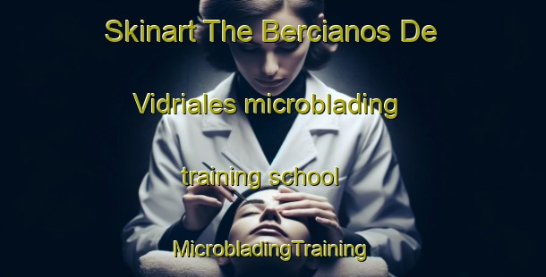 Skinart The Bercianos De Vidriales microblading training school | #MicrobladingTraining #MicrobladingClasses #SkinartTraining-Spain