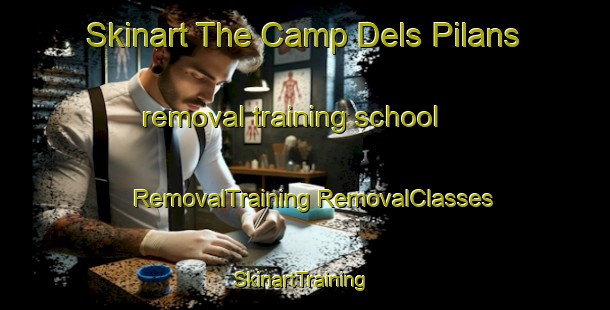 Skinart The Camp Dels Pilans removal training school | #RemovalTraining #RemovalClasses #SkinartTraining-Spain